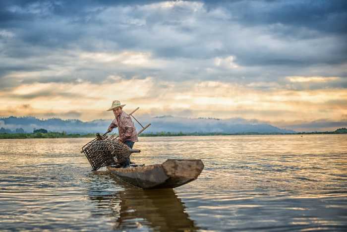 A bacia amazônica possui uma diversidade muito grande de peixes de água doce do mundo